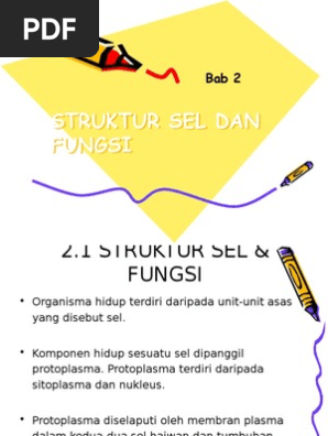 Bab 2 21 Struktur Sel Dan Fungsi
