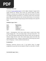 Download bahan agrostologi by Amal Fiza Bung FizxBoss SN284966587 doc pdf