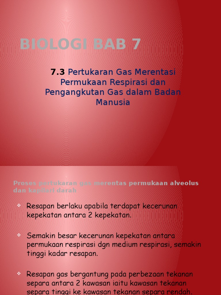 6 7 Sistem Respiratori