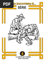 Série Ser Escoteiro É - Corte de Honra