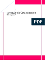 TRABAJO TECNICAS OPTIMIZACION.pdf