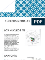 Nucleos Mediales