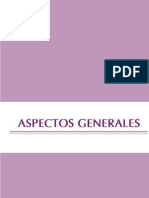 Mineria Aspectos Generales