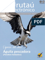 URUTAU ELECTRONICO - No 3 - MARZO 2013 - GUYRA PARAGUAY - PORTALGUARANI