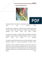 Lectura 4 Examen General de Orina PDF