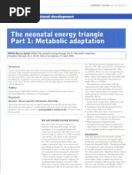 Neonatal Energy Triangle Part 1