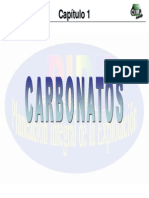 1 Carbonatos PDF