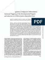 3.Chapman B. Glucocorticoid Regulation of Adipocyte Differentiation