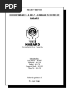 Download Nabard Report by sunpreet93 SN28501658 doc pdf