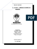 Nabard Report