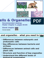 Cells & Organelles: Recommended Reading: Mader Chapter 4, Pages 60-84 Ebook Chapter Link