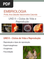 Und II_Ciclos Reprodutivos