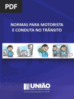 MODELO DE DIRETRIZ INTERNA.pdf