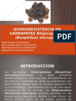 QUIMIORESISTENCIA EN GARRAPATAS Rhipicephalus (Boophilus) Microplus