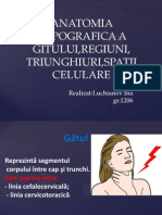 Anatomia Clinică a Gâtului 20151