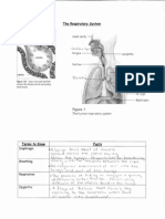 respiratory system