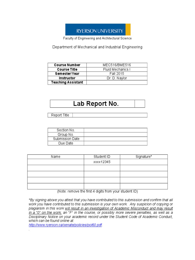 Fluid Mechanics I Lab Report Guidelines | PDF