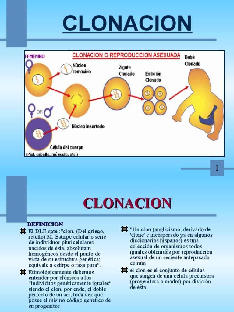 3 Clonacion PDF Clonación Reproducción