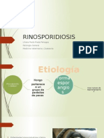 RINOSPORIDIOSIS