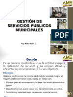 Gestion Servicios 2015