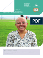 Planificacion Programas Cancer Mama