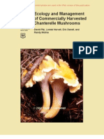 Of Commercially Harvested Chanterelle Mushrooms