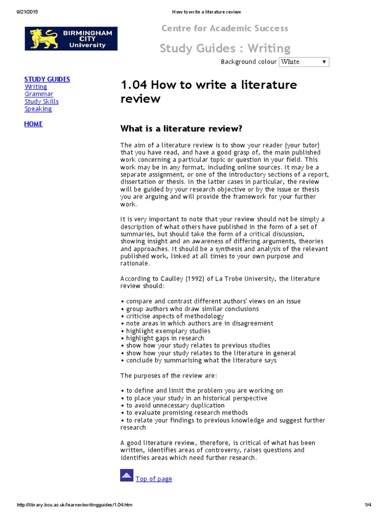 who should write a literature review