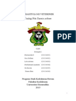 Download Tugas Parasitologi Veteriner I CACING-PITA-Taenia-solium by Ummu Hani SN285144373 doc pdf