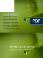 Herbal Seminar Group 9