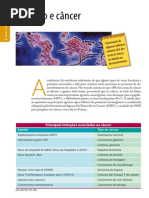 Causalidade Infeccao Cancer
