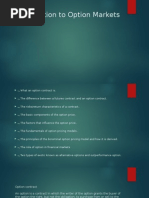paulo's report (Introduction to Option Markets ).pptx