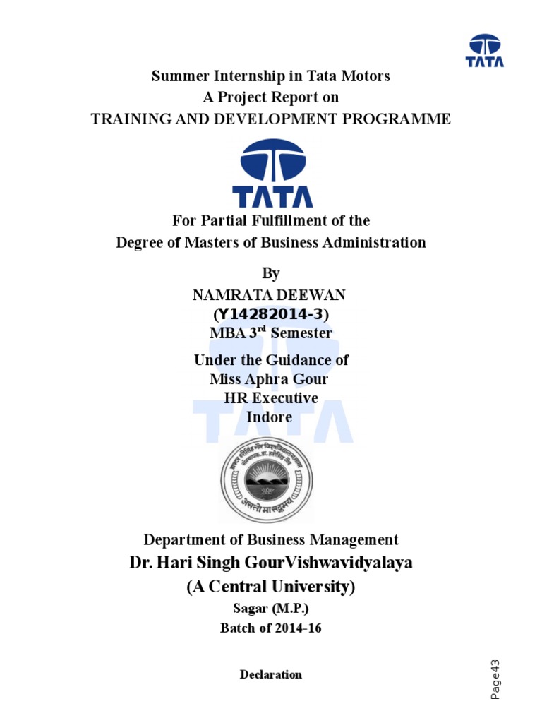 Sanghi Brother Tata Motors Final PDF Car Automotive Industry