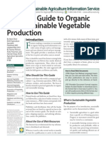 Vegetable Guide