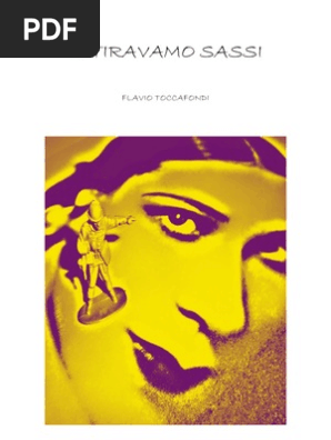 Flavio Toccafondi Vi Tiravamo Sassi