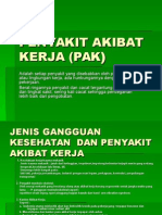 Penyakit Akibat Kerja (Pak)