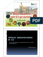 Agroexpor Ica - Espanhol PDF