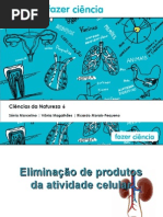 Eliminação de Produtos Da Atividade Celular 2