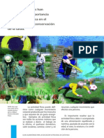 Actividad Fisica PDF