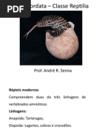 Aula 7 Reptilia