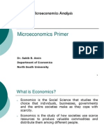 EC0 511_Lecture Notes on Basic Microeconomics