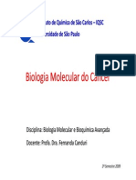Biologia Molecular Do Cancer 120406135029 Phpapp02