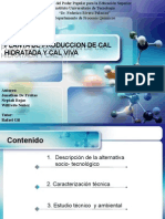 70308099 Planta de Produccion de Cal Hidratada y Cal