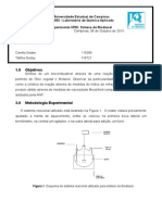 Relatório 6 - QF053 - Biodiesel