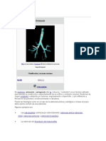 e Stenosis