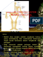 Anatomi Sistem Muskuloskeletal