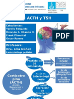Hipófisis: ACTH y TSH