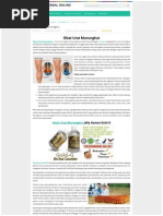 Download Obat Urat Murungkut by Feby Awal Ramdhani SN285340083 doc pdf