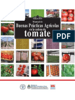 Buenas Practicas Cadena Tomate