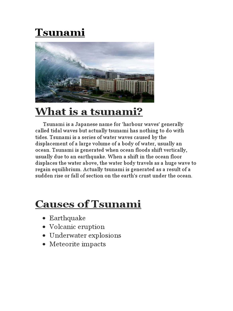 tsunami prevention essay
