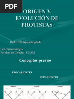 ORIGEN Y EVOLUCIÓN DE PROTISTAS